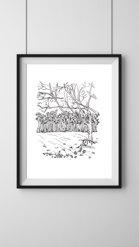 Whippendell Woods, Croxley Green, Hertfordshire PRINT