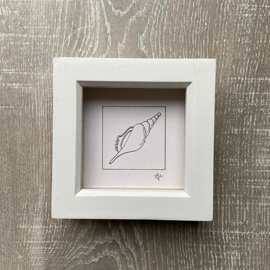 Close-up detail of spindle shell framed illustration — hand-drawn ink coastal artwork by Ali Collins.