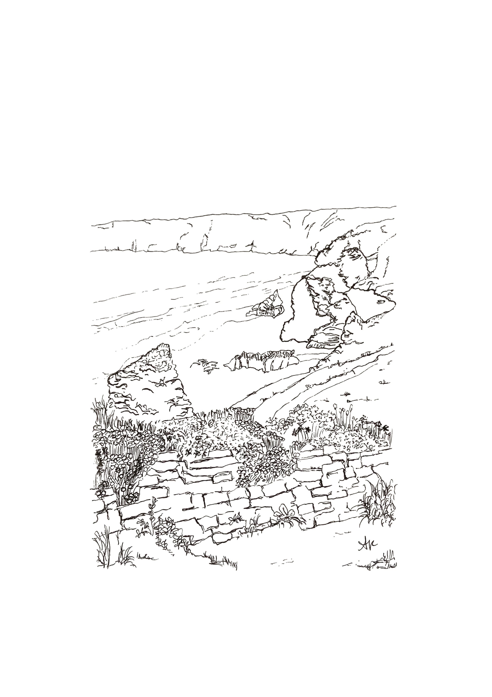 Hand-drawn print of Bedruthan Beach, Cornwall. Dramatic slate rock stacks and coastal cliffs, original line art by Ali Collins