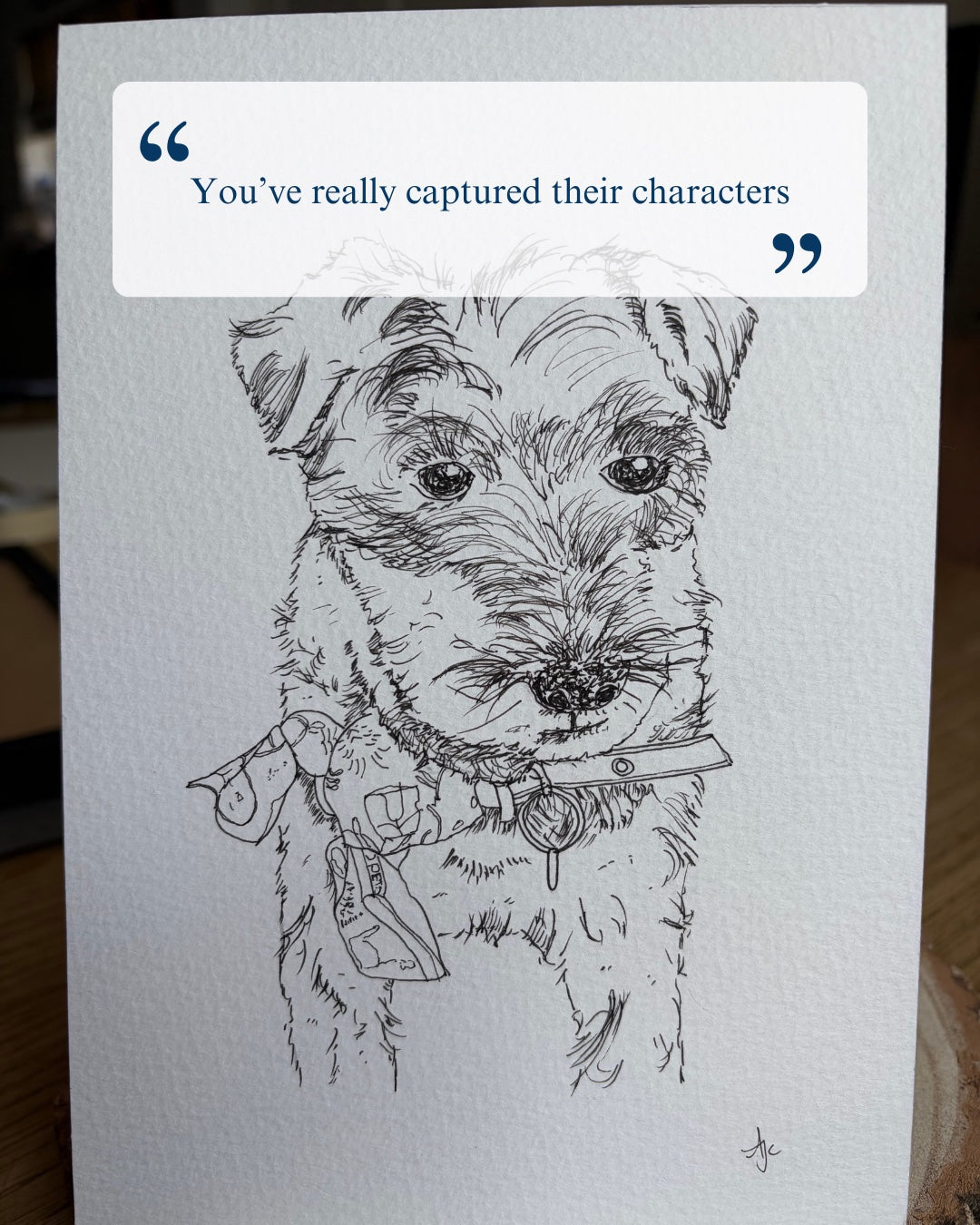 Illustration of a dog with a customer with a customer review quote overlaid at the top.