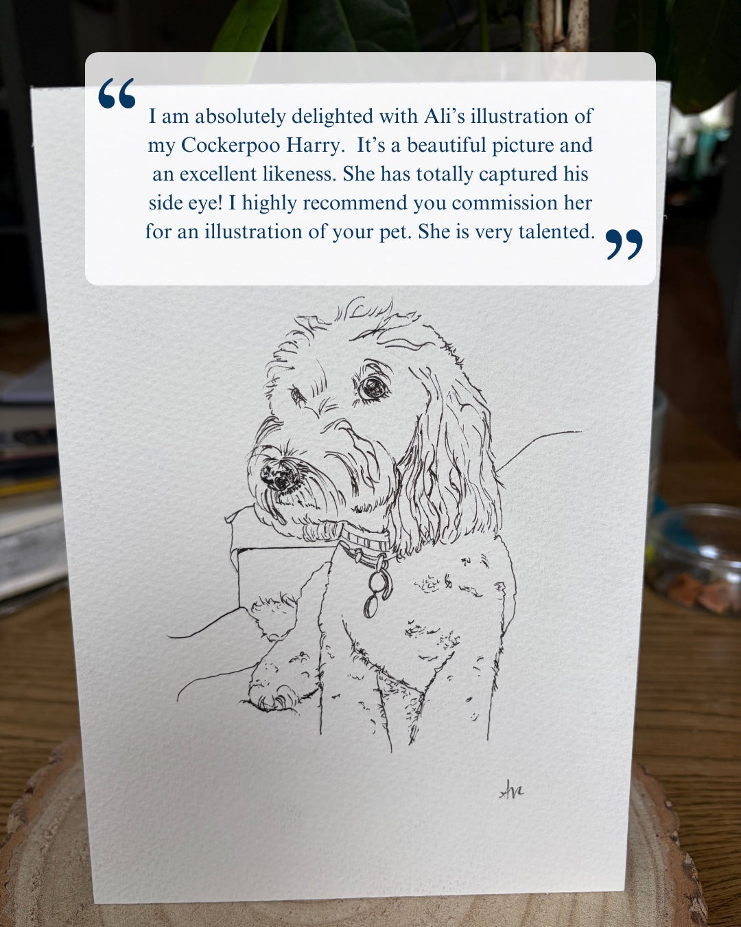 Card with a dog illustration and a review of Ali's illustration services.