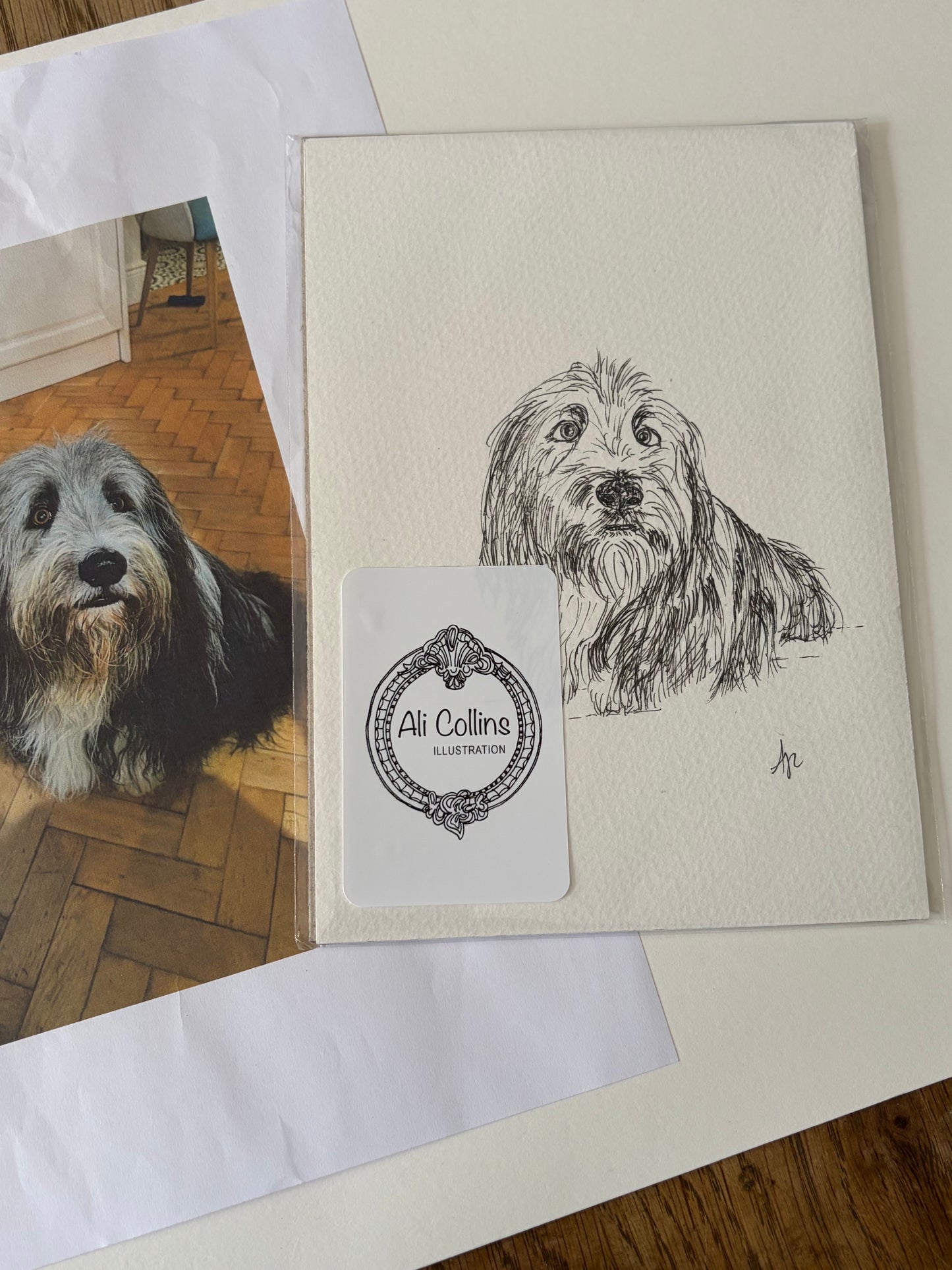 Illustration of a dog on a card with 'Ali Collins Illustration' label, next to a photo of a real dog.
