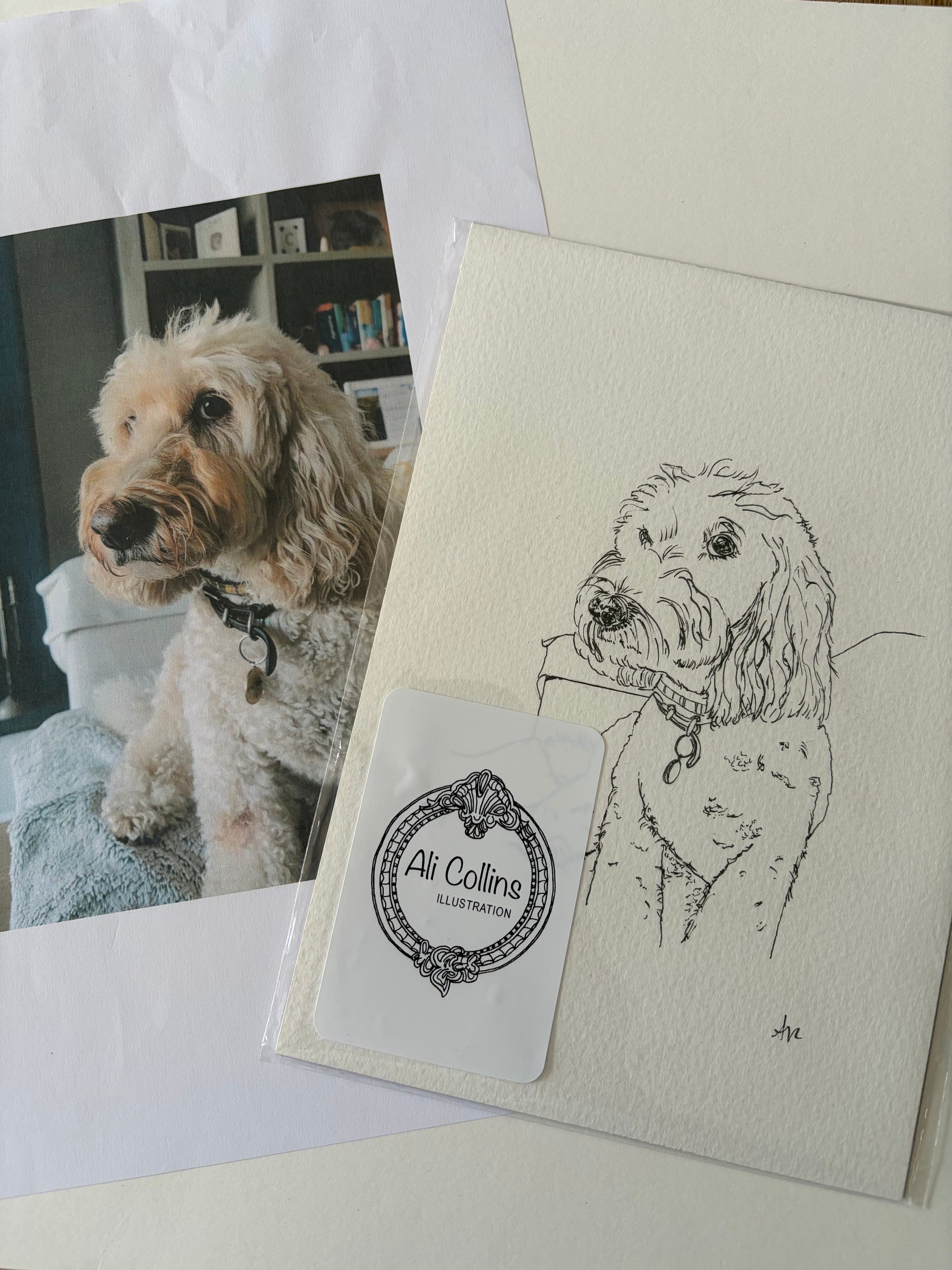 Illustration of a dog on a card with a photo of a real dog and a stamp in the center.