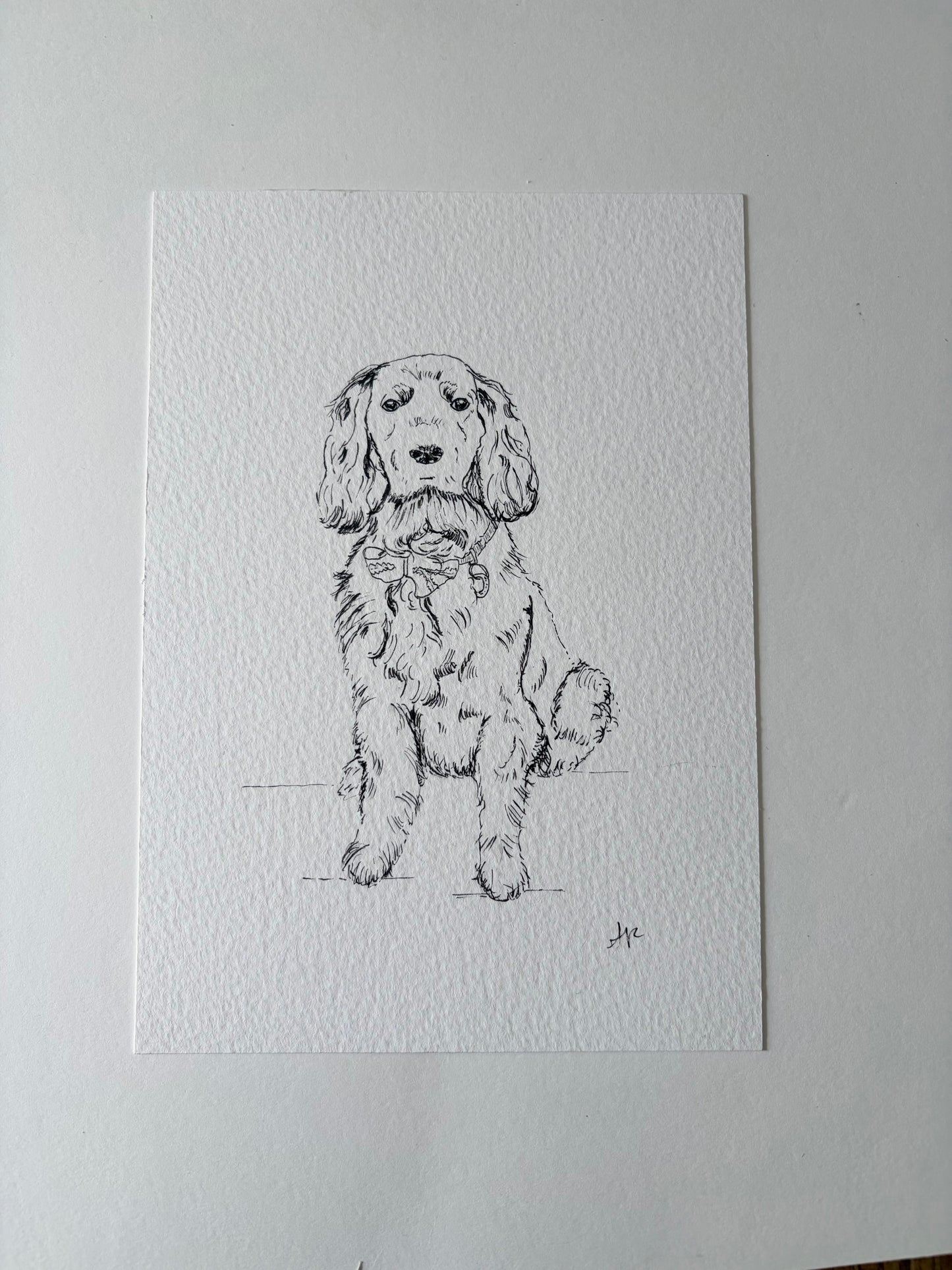 Black and white line drawing of a dog on textured white paper.