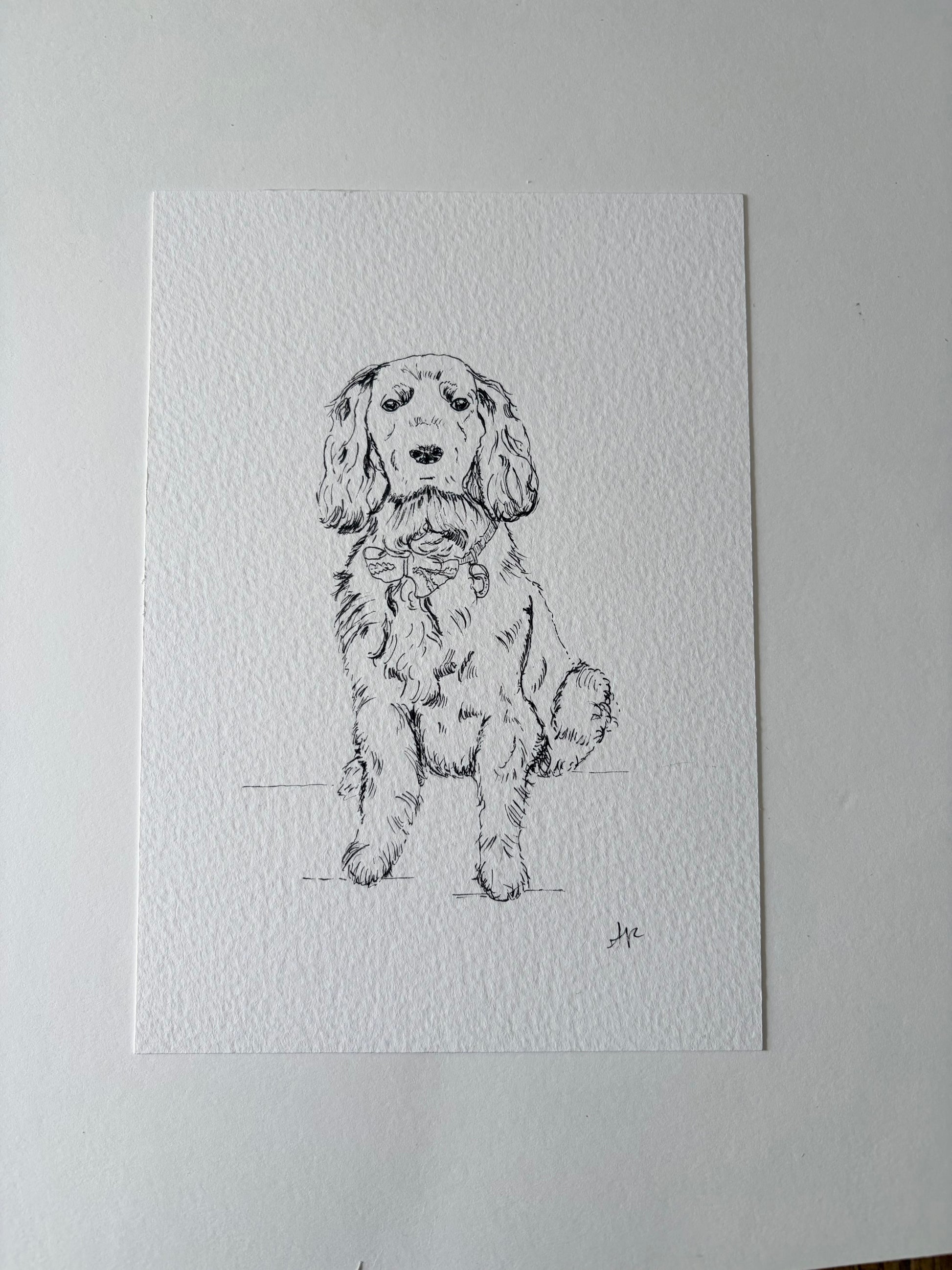 Black and white line drawing of a dog on textured white paper.