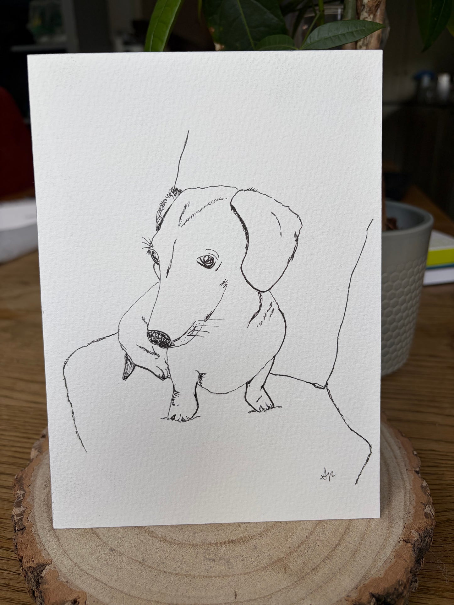 Hand-drawn personalised pet portrait of a dachshund, unframed on a wooden surface – Ali Collins illustration