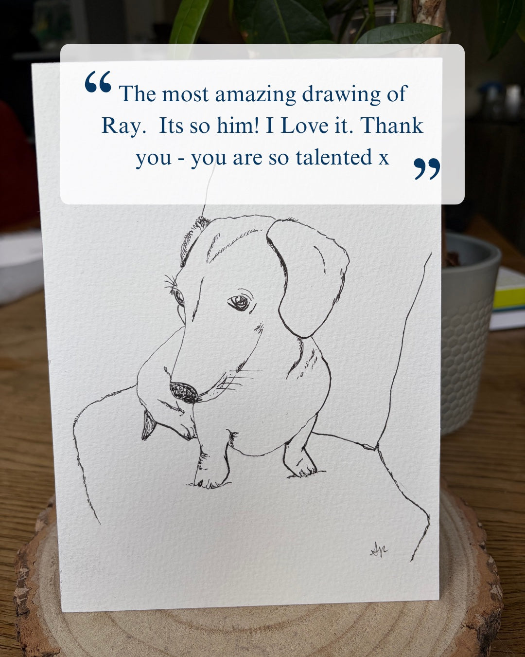 Customer review photo of a hand-drawn dachshund pet portrait commission – Ali Collins