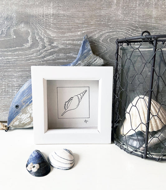 Limited edition framed Spindle Shell hand-drawn illustration by Ali Collins, presented in a white gift box.