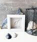 Limited edition framed Spindle Shell hand-drawn illustration by Ali Collins, presented in a white gift box.