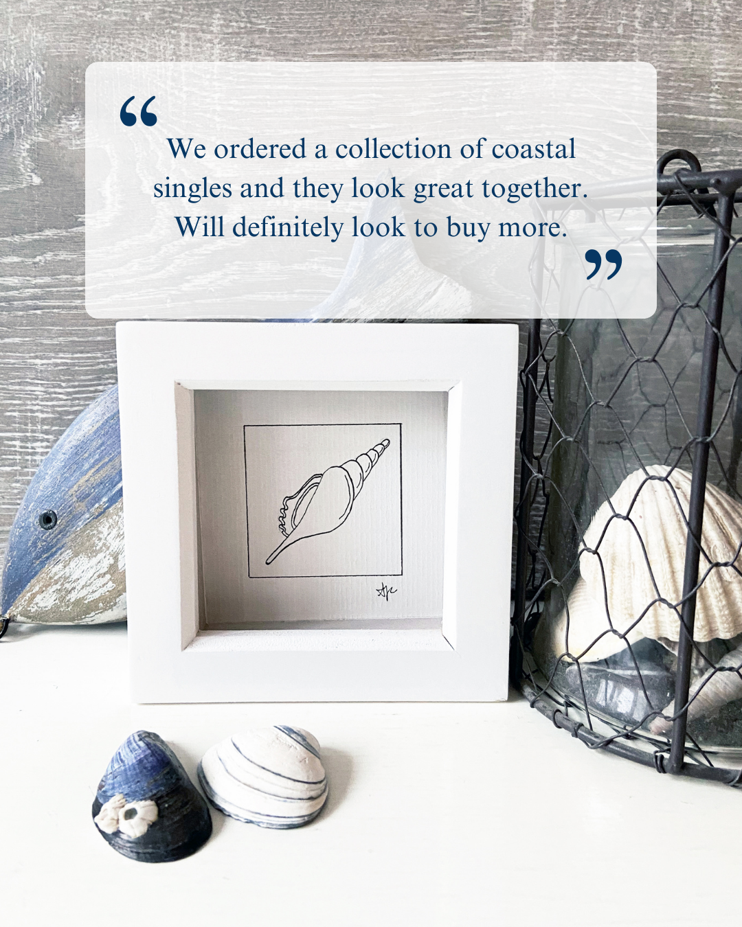 Customer testimonial for framed Spindle Shell coastal illustration by Ali Collins