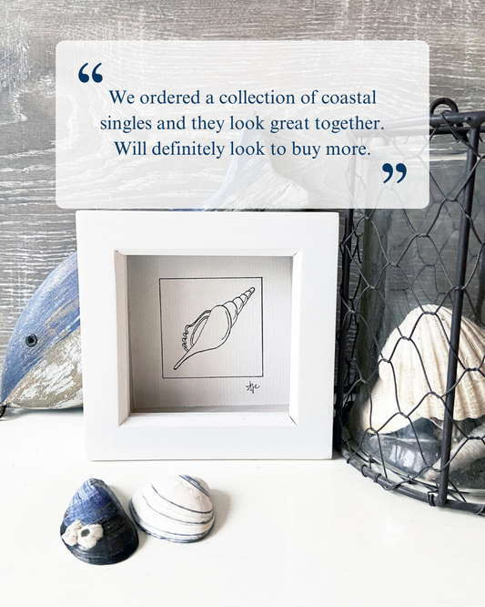Customer testimonial for framed Spindle Shell coastal illustration by Ali Collins