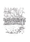 Hand-drawn print of Whippendell Woods, Croxley Green, Hertfordshire. 400-year-old ancient woodland, original line art by Ali Collins