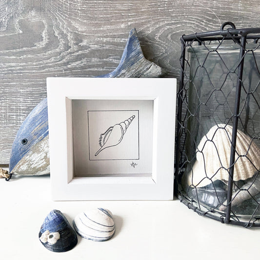 Spindle Shell Original Hand Drawn Illustration, Limited Edition FRAMED